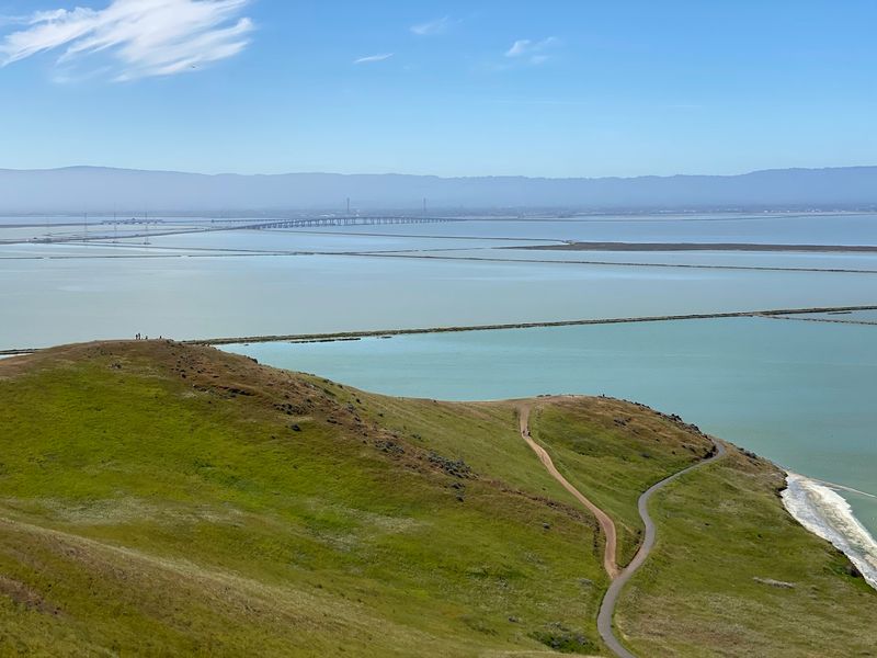 Bayview Trail, Coyote Hills Regional Park
