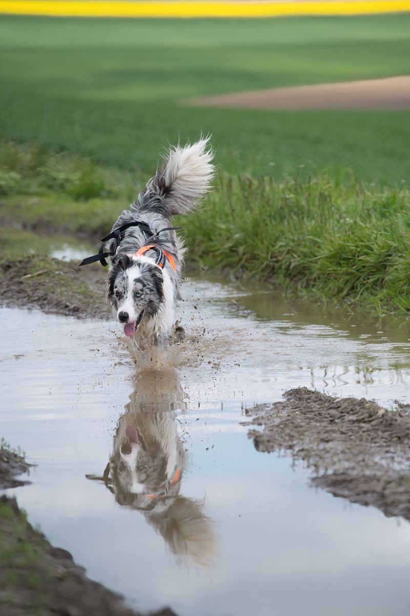Warm Weather Does Not Always Mean Safe Weather
