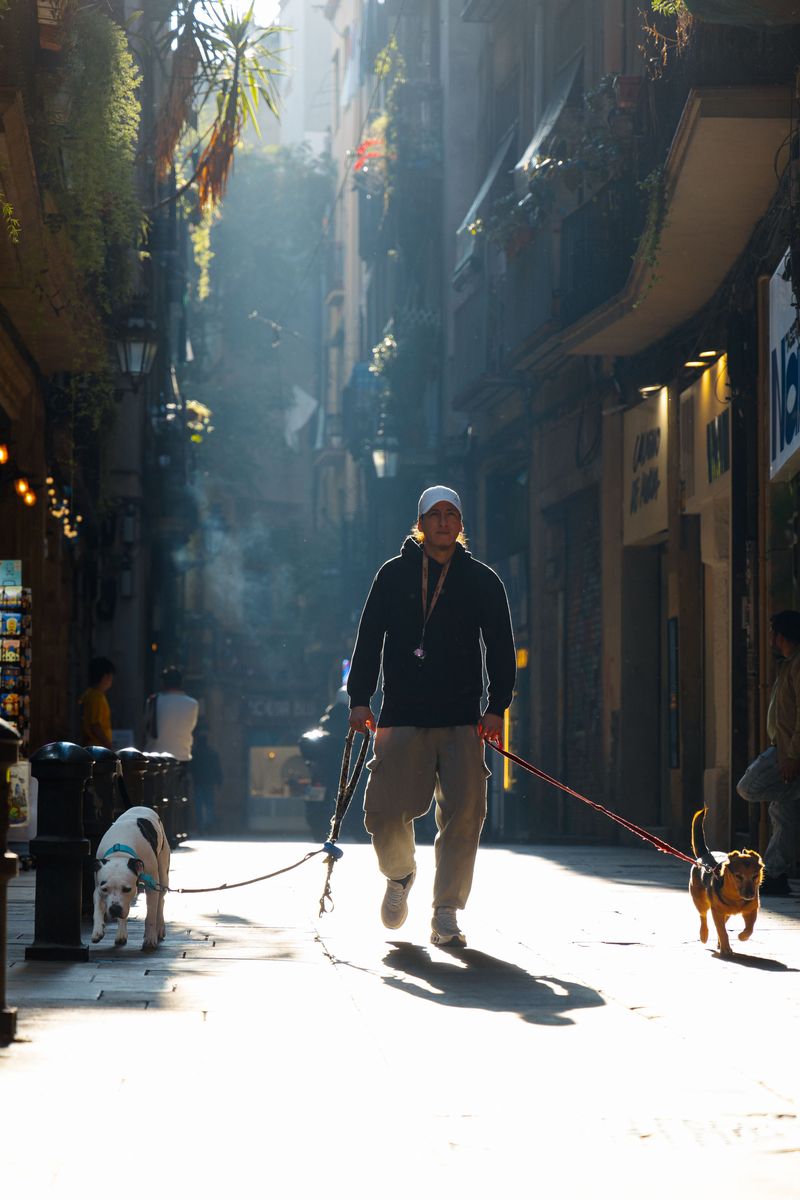 Skip Midday Walks From Late Spring Through Fall
