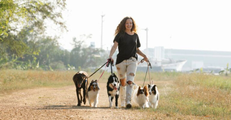 Woman walking dogs