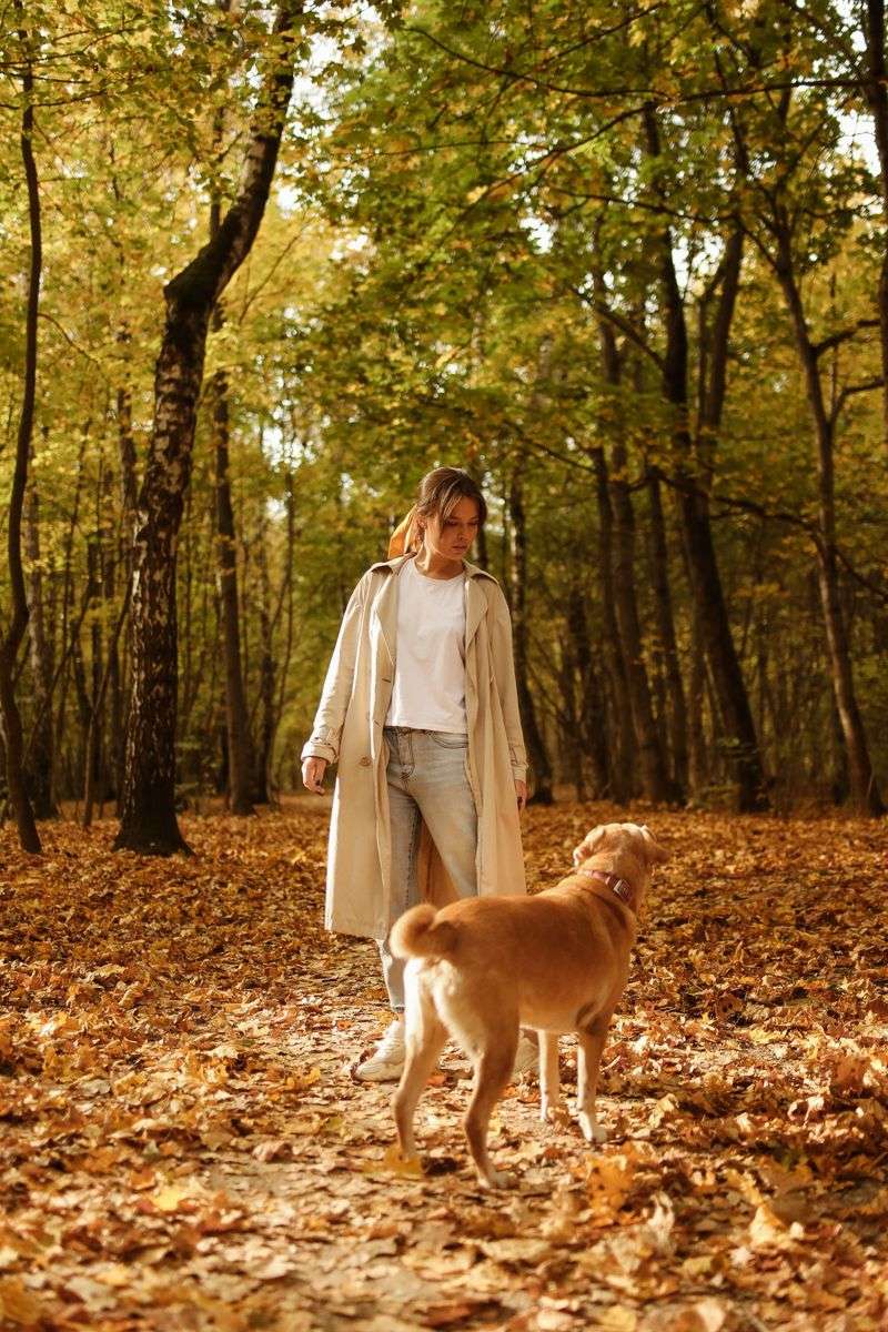 Why Coastal Rhode Island Is Tick Country