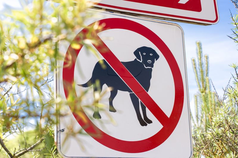 Florida Statute 767.01 Is the Law That Protects Your Dog