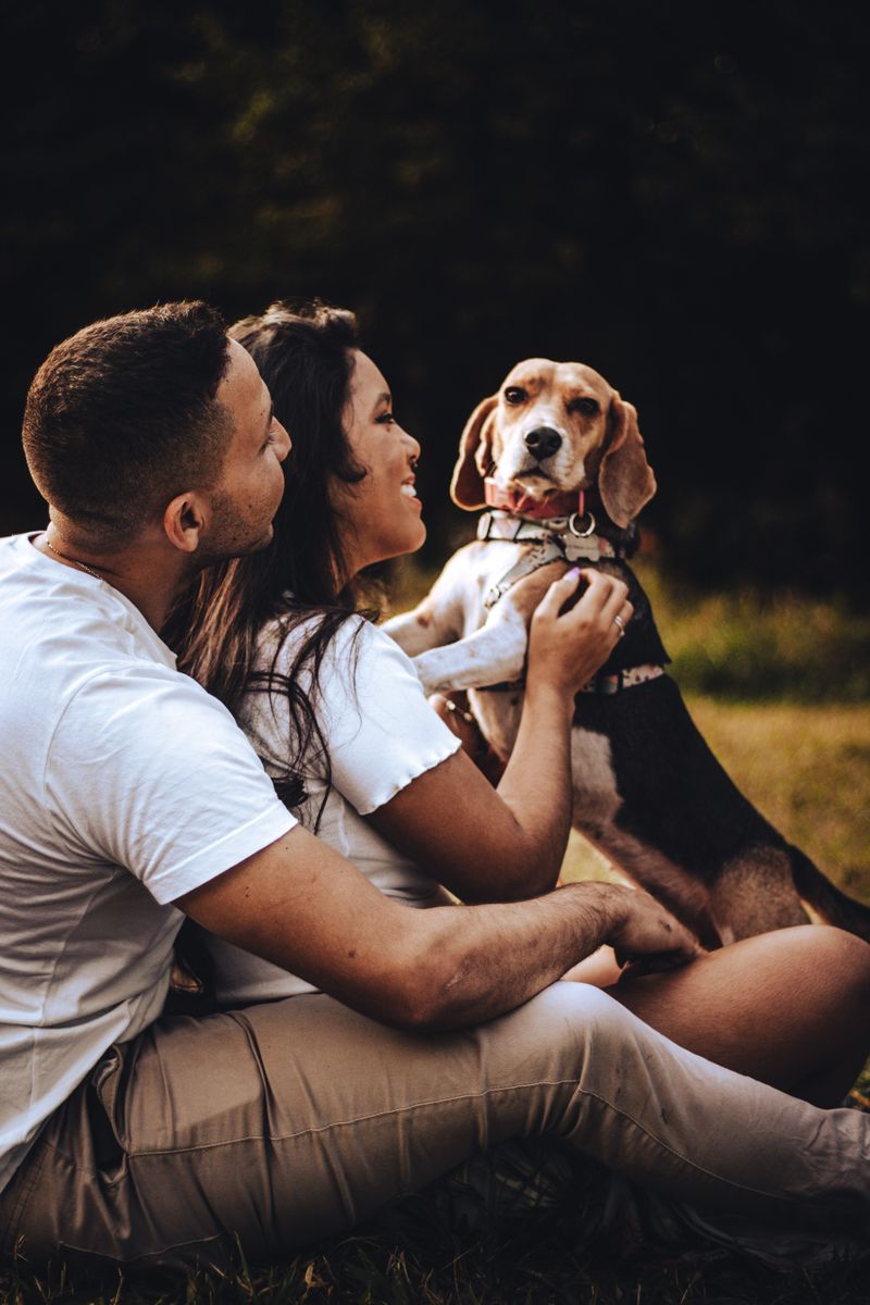Write Your Dog Into The Household Plan
