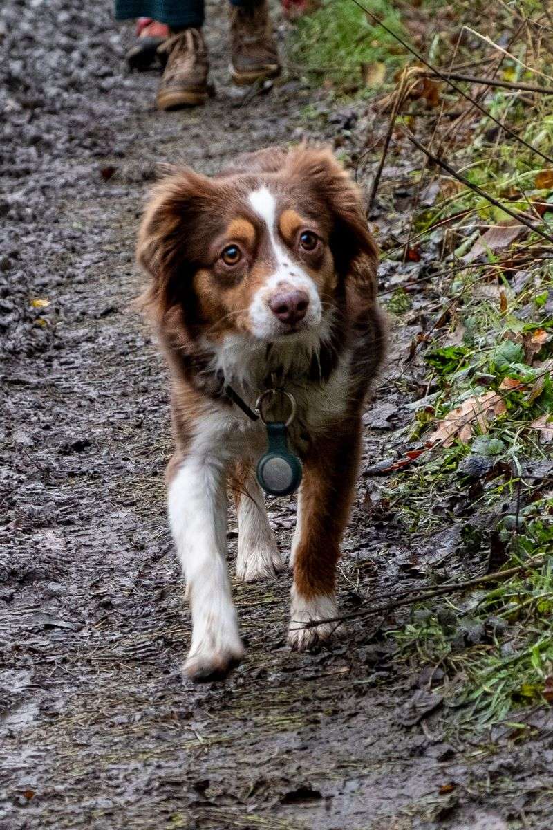 Ohio’s Mud Season Can Turn Walks Into a Mess