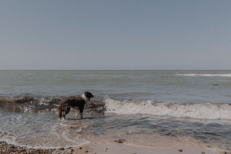 Start With Ohio BeachGuard