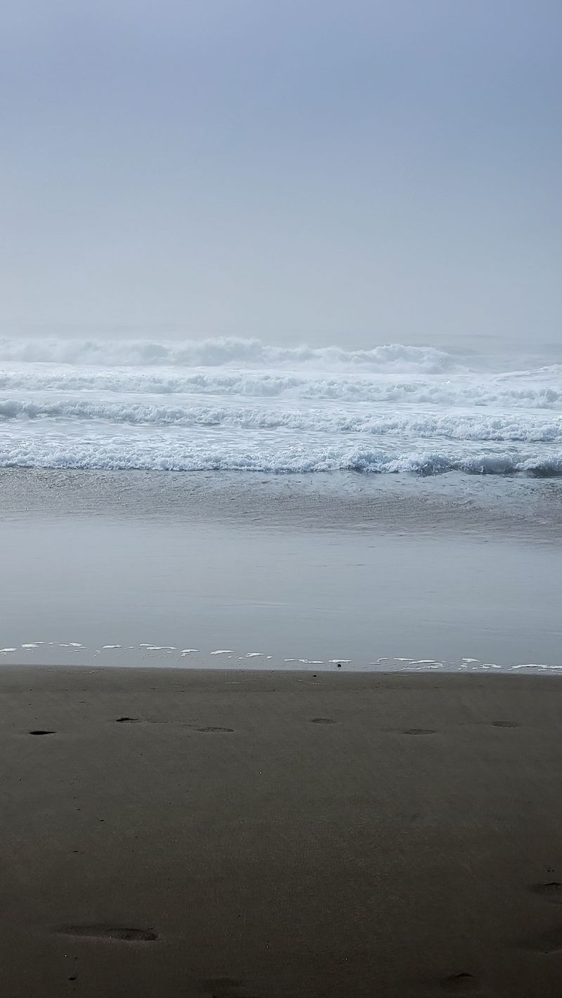 Sneaker Waves Can Arrive Without Warning