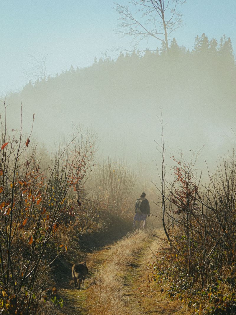 Wildfire Smoke Can Make a Normal Walk Unsafe