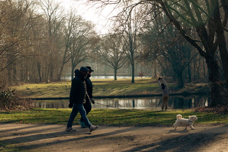Walk Early, Walk Late, Skip The Middle