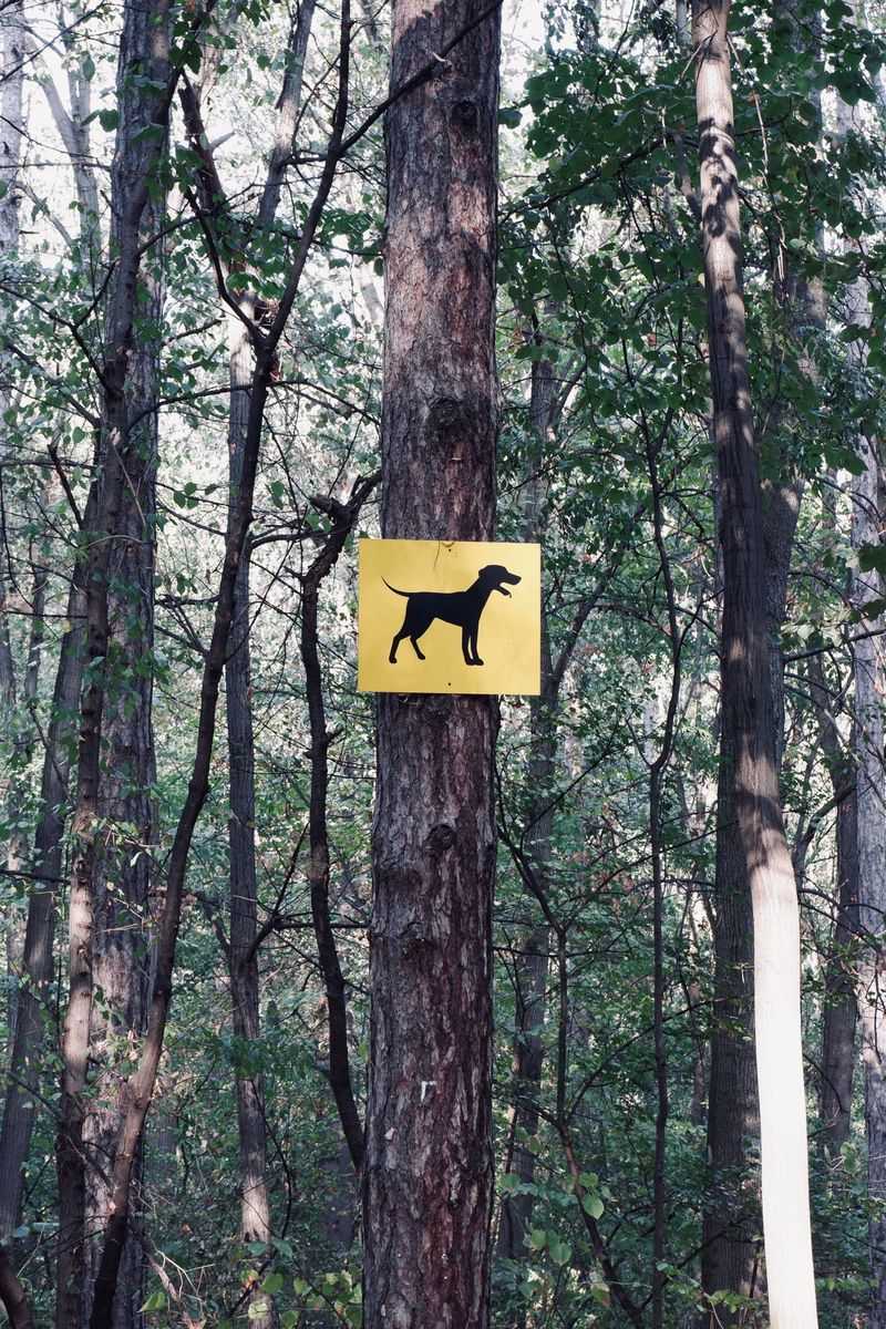 Know The Park's Dog Rules