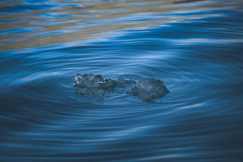 Cool Water Beats Ice Water