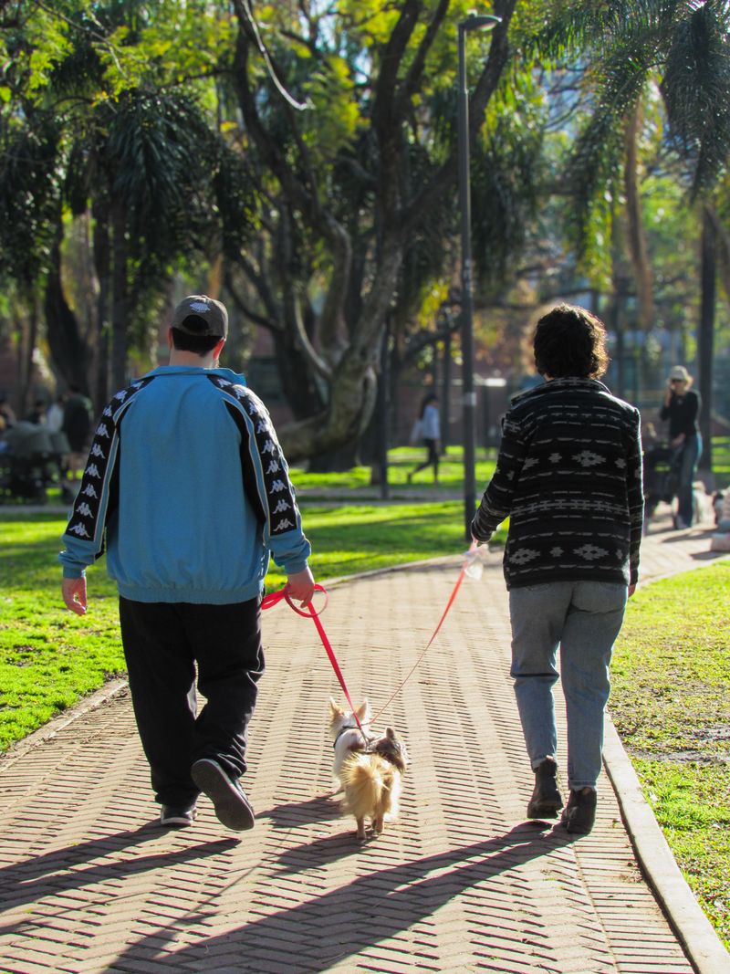 When in Doubt, Use a Leash