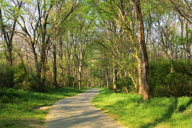 Why Suburban Trails Can Still Have Snakes