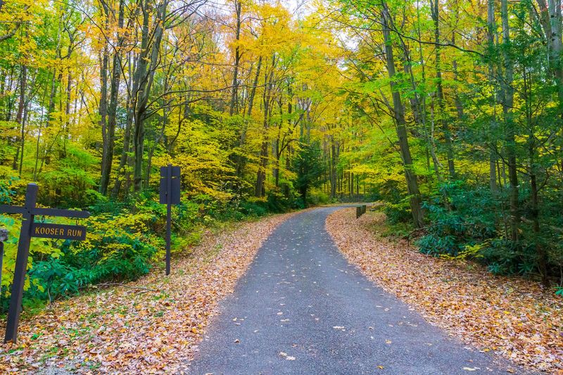 Kooser State Park, Somerset County