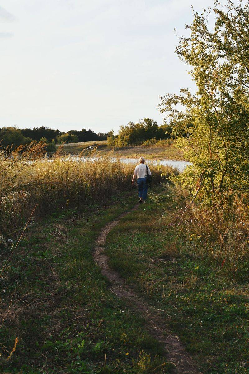 Keep Dogs Out of Thick Vegetation