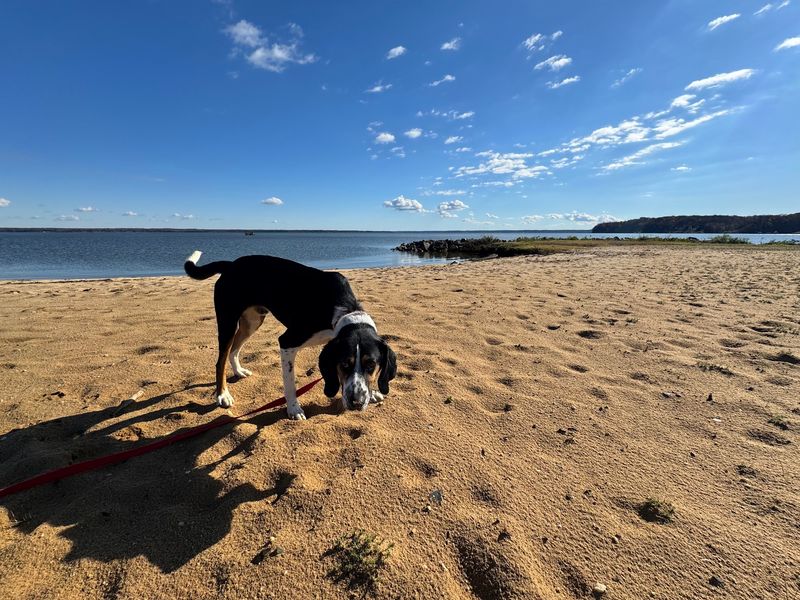 Aquia Landing Park Beach, Stafford