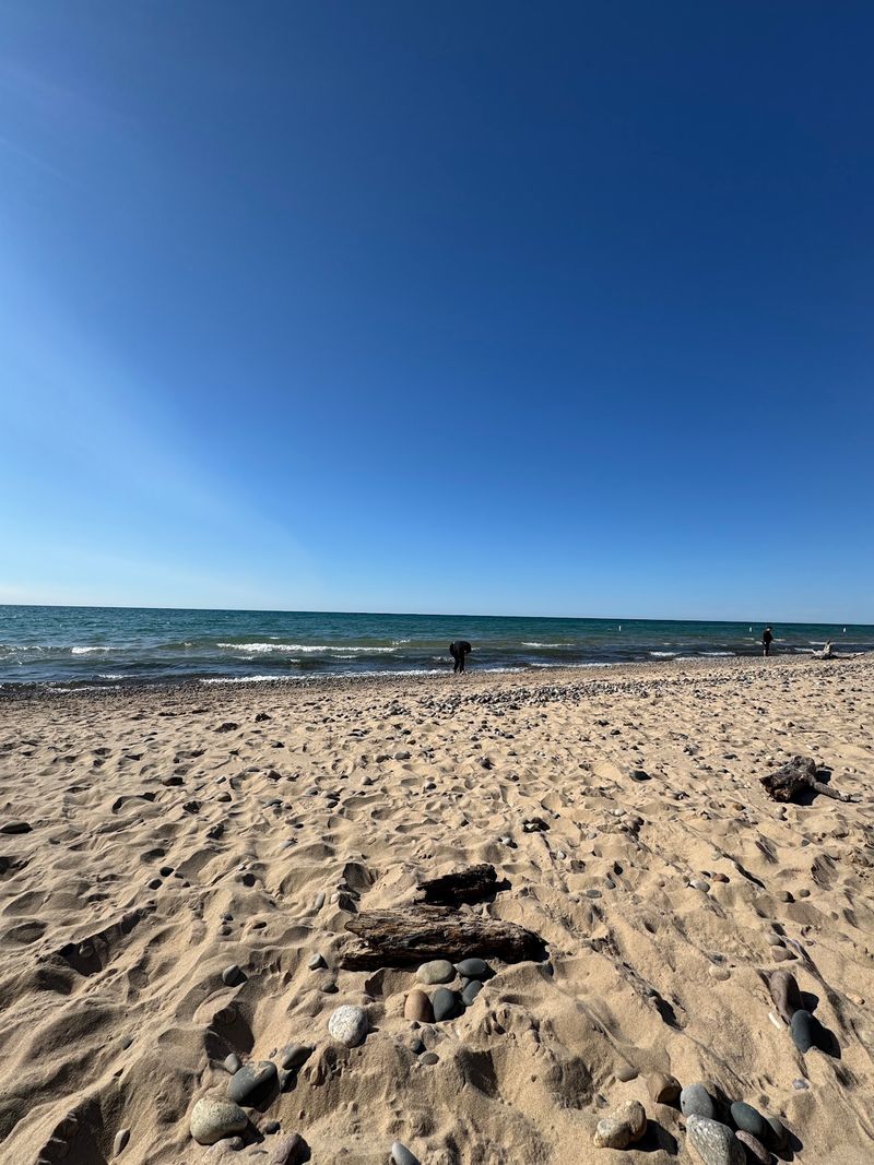 Van Buren State Park Keeps Dogs Close to Lake Michigan