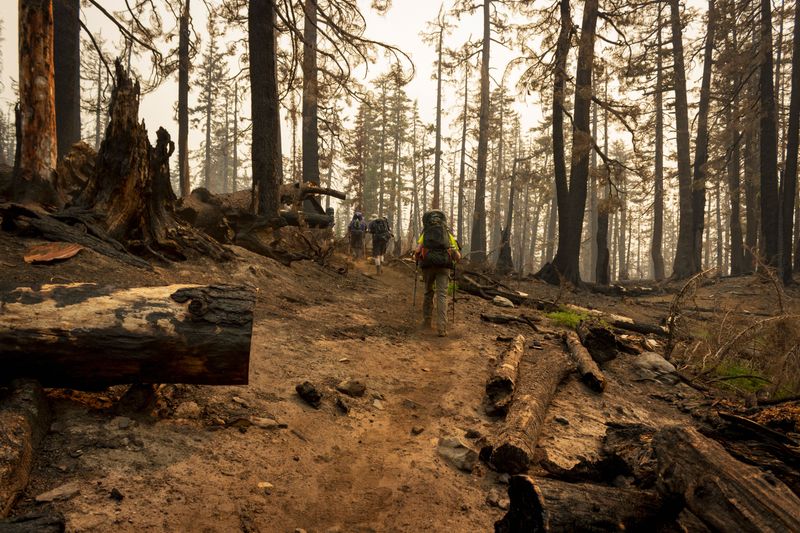 Check Oregon Air Quality Before Heading Out