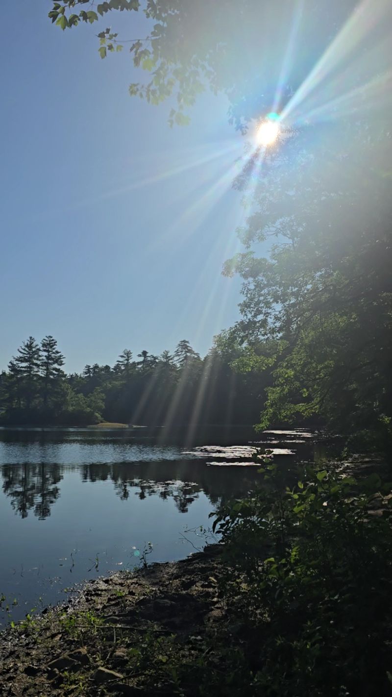 Pearl Hill State Park, Townsend