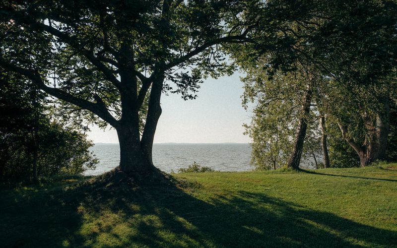 Summer Calls For Shade, Sips, And Slow Downs