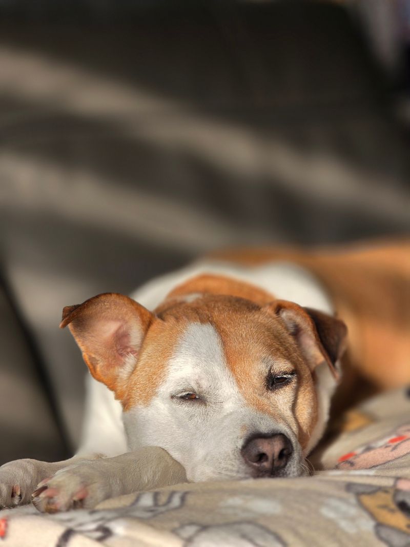 Extra Naps Are Not Laziness