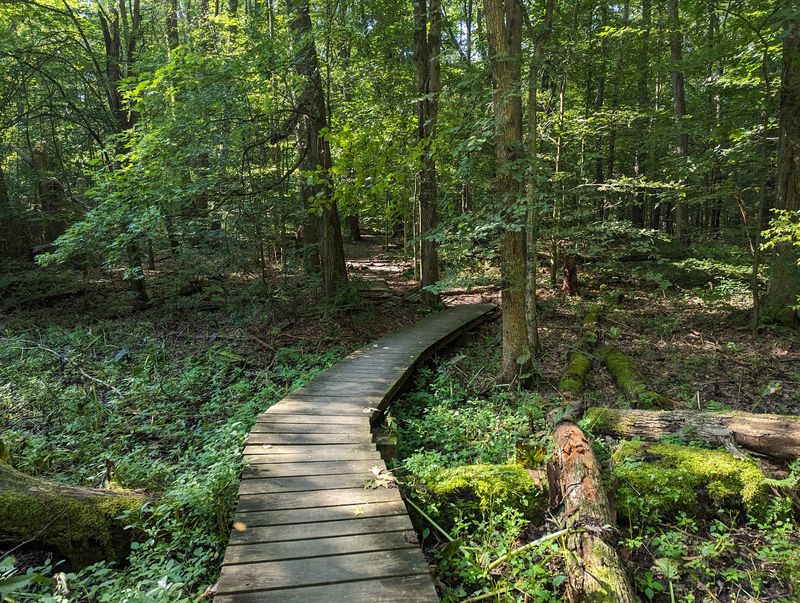Quail Hollow Park, Hartville
