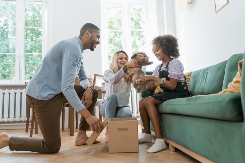Bringing Home a Dog Can Trigger a 30-Day Registration Deadline