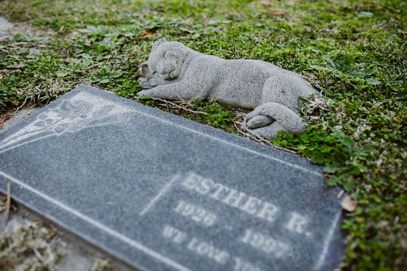 Sentimental Damages for a Pet Are Not Recoverable