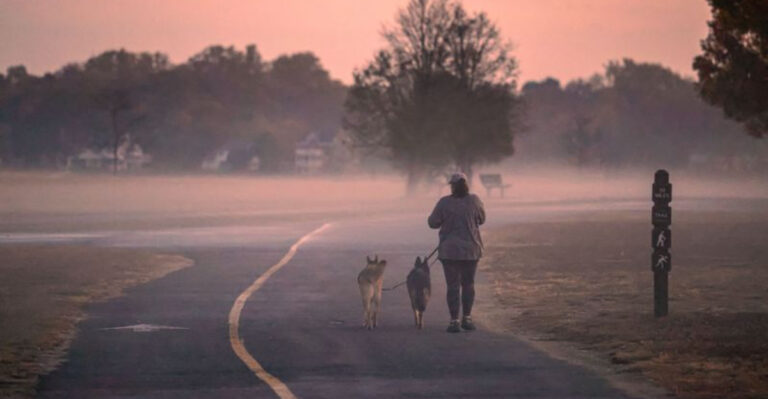 How Wildfire Smoke Changes Summer Exercise For Oregon Dogs