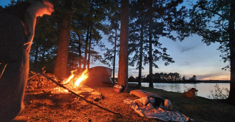 12 North Georgia Lake Days To Plan With Your Dog