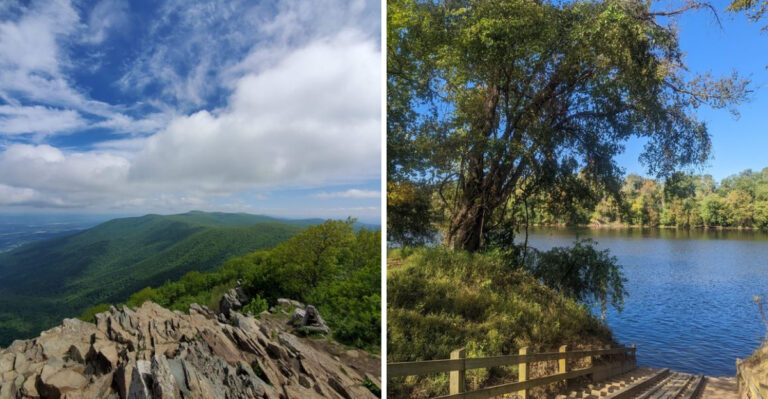 18 Virginia Adventures That Take Dogs From The Blue Ridge To The Chesapeake