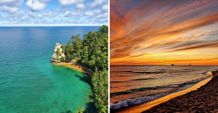 18 Michigan Adventures For Dogs That Cannot Get Enough Of The Water
