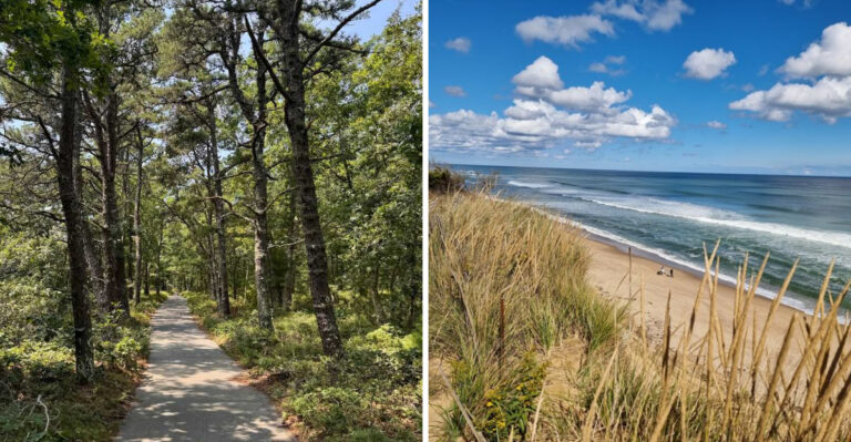 18 Massachusetts Adventures That Take Dogs From The Coast To The Berkshires