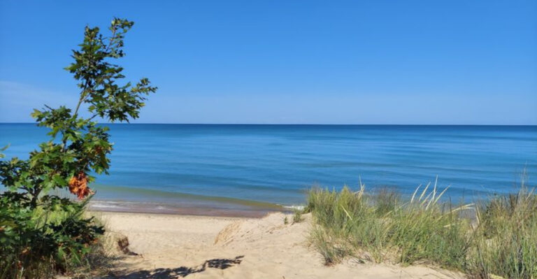 15 Michigan Beaches Where Dogs Can Actually Enjoy The Great Lakes