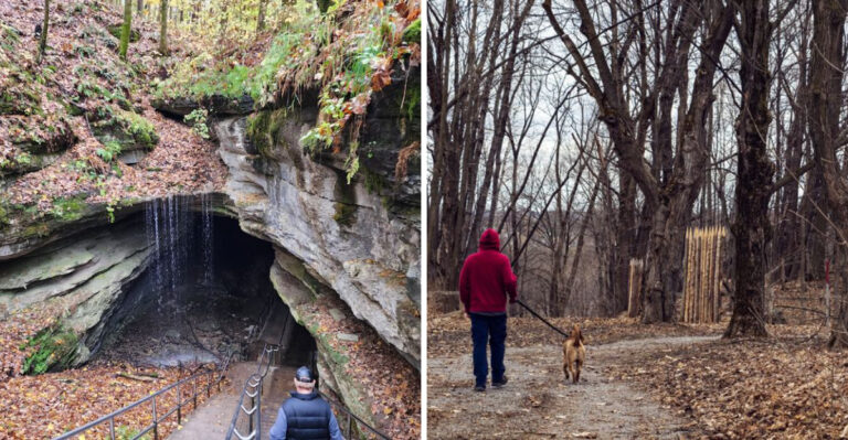 What Mammoth Cave Rules In Kentucky Mean When You Visit With A Dog