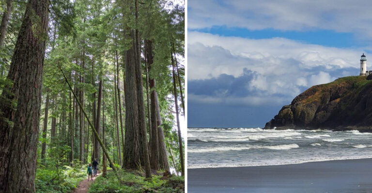 18 Washington Adventures For Dogs That Do Not Mind A Little Rain