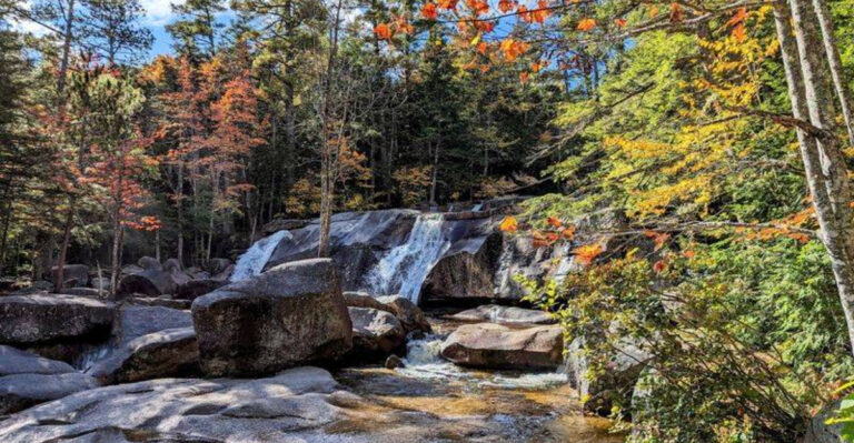 Dog-Friendly White Mountains Weekends For New Hampshire Owners Who Prefer Moderate Trails