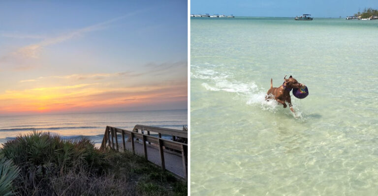 17 Florida Weekend Escapes Where Dogs Can Spend More Time Outdoors