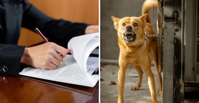 What Pennsylvania Law Says When A Neighbor’s Dog Injures Yours