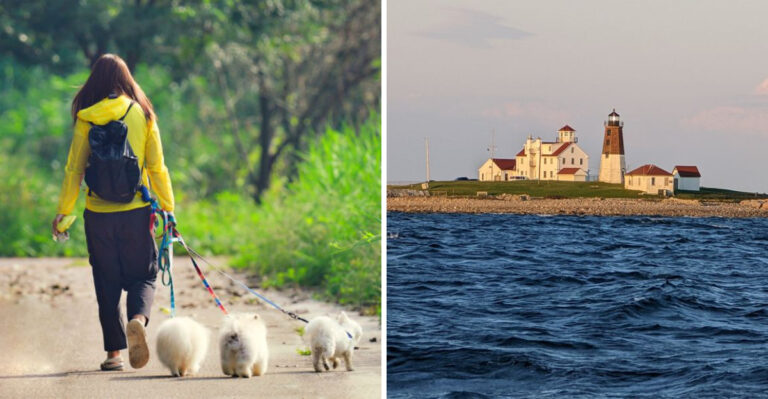 How To Plan A Block Island Trip In Rhode Island When Your Dog Is Coming Along