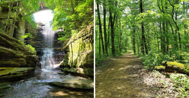Dog-Friendly Weekend Trips From Chicago That Stay Inside Illinois