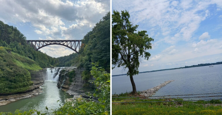 16 New York Road Trips Worth Planning With Your Dog