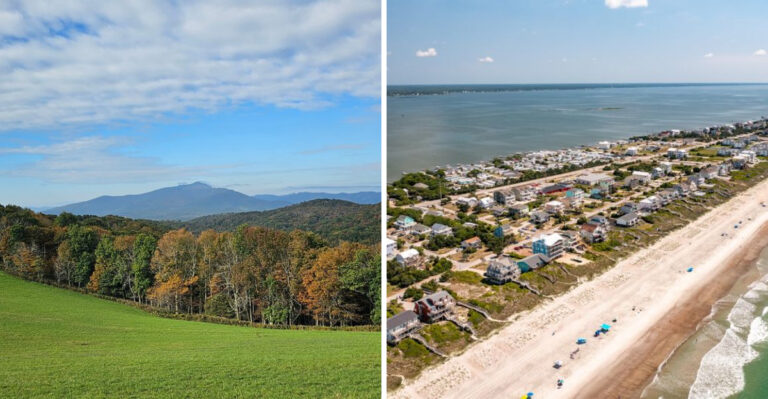 20 Most Dog-Friendly Small Towns in North Carolina