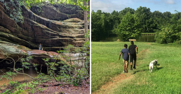 18 Tennessee Road Trips Made Better By Bringing Your Dog
