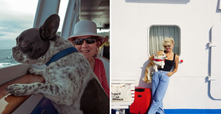 What To Plan Before Taking Your Dog On A Massachusetts Island Ferry