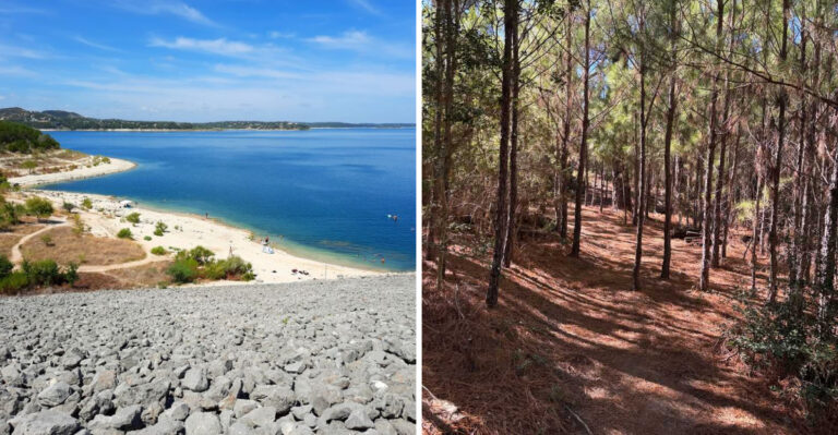 18 Weekend Road Trips Your Dog Will Love in Texas