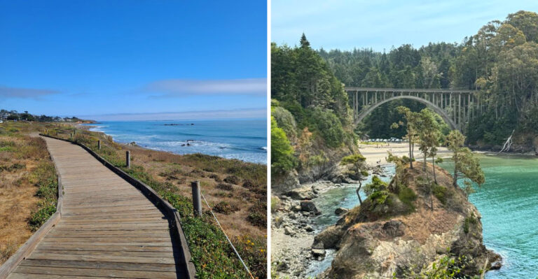 15 Dog-Friendly State Parks in California Worth Exploring