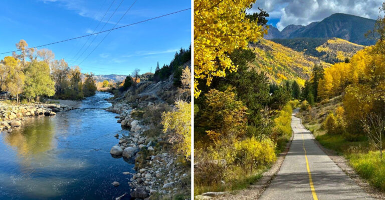 10 Colorado Towns Where Dogs Can Enjoy A Mountain Getaway
