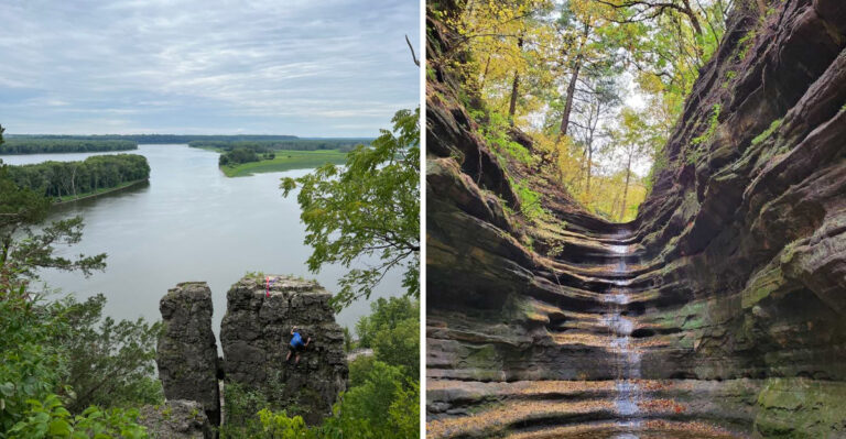 18 Illinois Adventures That Give Dogs A Break From Their Usual Routine