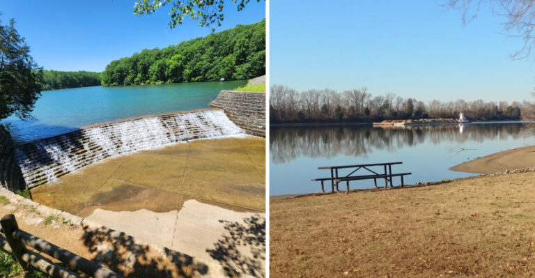 15 Tennessee Lake Days To Plan With A Water-Loving Dog