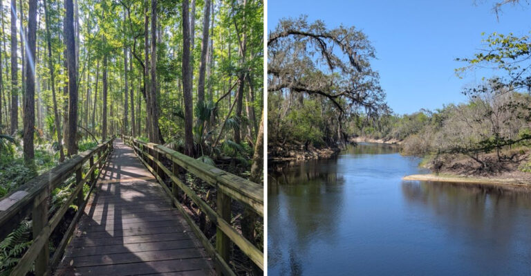 18 Florida Outdoor Adventures Dog Owners Can Enjoy Beyond The Beach